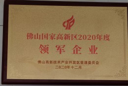 2020年佛山国家高新区领军企业